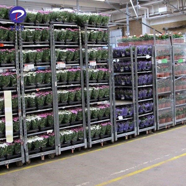 Greenhouse Dutch Cart