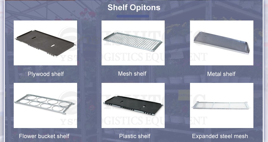 shelf options