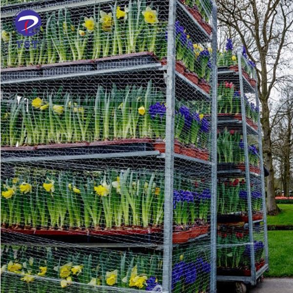 Dutch Carts For Flowers