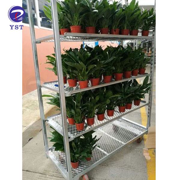 Greenhouse Shipping Carts