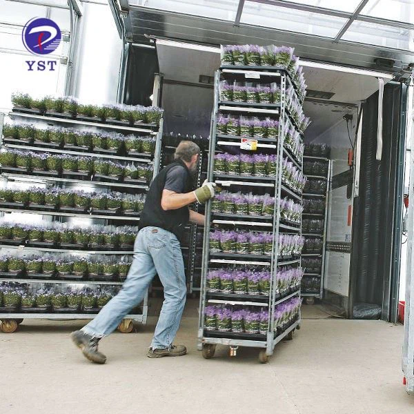 Flower Greenhouse Transport Cart