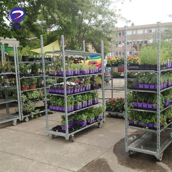 Multi Shelf Transport Nursery Trolley