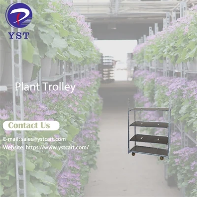 Memilih troli tumbuhan yang betul untuk keperluan hortikultur